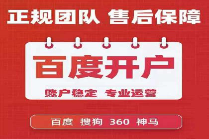 Sem优化公司成功案例：转化率提升之道